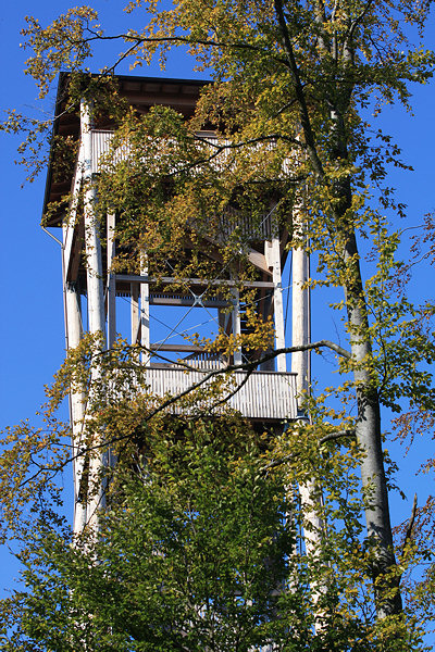 ... dem Chutzenturm im Frienisbergwald.