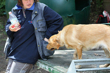 ... wo man die Taschen der Ausbildungsleiterin einer der bekanntesten Rettungshundestaffeln (**) Deutschlands abschnuffelt, ...