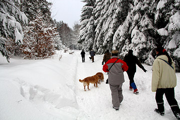 Von den Schneemassen waren wir sehr beeindruckt, nur etwa 40 km von unserem Zuhause entfernt, wähnten wir uns wie im Skiurlaub.